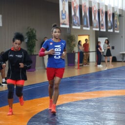 Lutteurs olympiques en préparation aux Jeux Olympiques de Paris 2024 à l'Artenium à Ceyrat